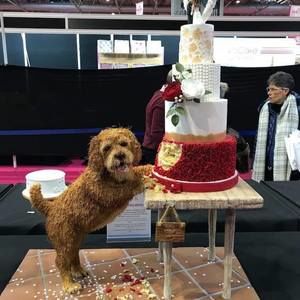 Meet your Posher, Barbara